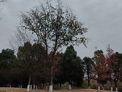 -盘龙城遗址博物院