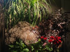 -春暖花开(西溪店)