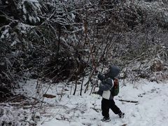 -湖州龙王山景区