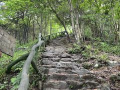 -梧桐山风景名胜区