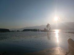 -洱海月湿地公园