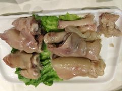 -丁老爷子苏香圆