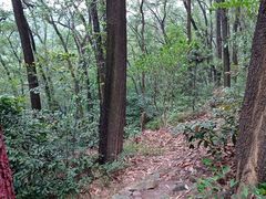 -广州市白云山风景名胜区