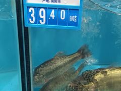 -麦德龙(青羊店)