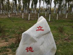 -天津东丽湖风景区