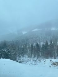 -大秃顶子山(雪谷店)