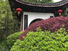 -十八棵（老龙井）御茶园(老龙井店)