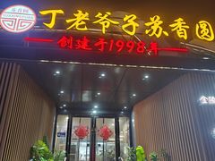 -丁老爷子苏香圆