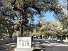 -北陵公园