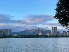 -飞来湖湿地公园