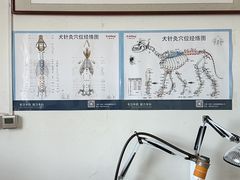 -派美特宠物医院·核磁CT·骨科肿瘤·疑难转诊(沈农禾丰店)
