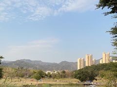 -牛岗山公园
