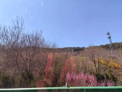 -黄巢水库