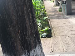 -四川大学(望江校区)