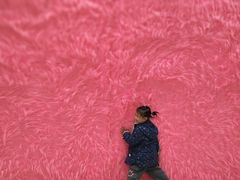 -好利来(武汉新天地店)