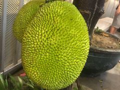 -新合益乡村农庄