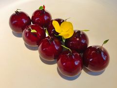 樱桃鹅肝-玫瑰厅上海菜(兴国路店)