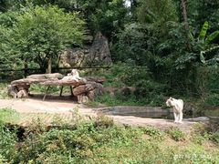 -贵州森林野生动物园