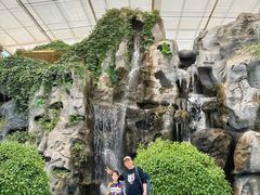 -北戴河集发农业梦想王国