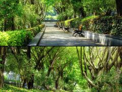 -深圳国际园林花卉博览园