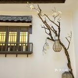 超高性价比｜钱塘秋荷
