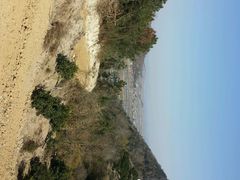 -韩美轩自助烤肉火锅