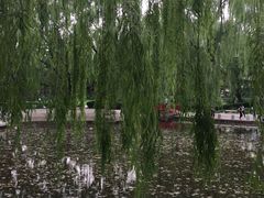 -玲珑塔公园
