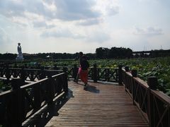 -荷塘月色湿地公园·向阳花洲