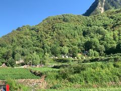 -爱达乐面包生日蛋糕(温江德昆新天地店)