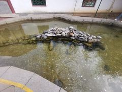 -红螺寺