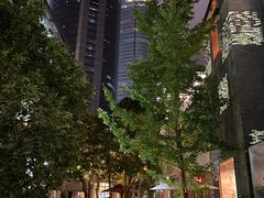 -徐家汇源景区-衡山坊