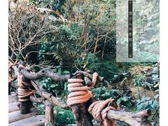 -龙山酒店温泉