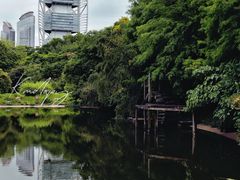 -深圳国际园林花卉博览园