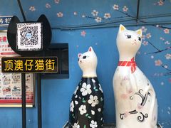 -猫咪博物馆(顶澳仔猫街店)