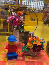 -乐高授权专卖店(卓悦汇店)