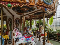 -南宫五洲植物乐园