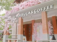 一年四季的樱花装饰-星巴克臻选(思南公馆店)