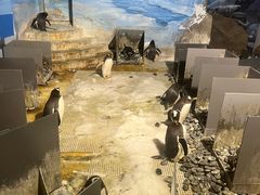 -成都浩海立方海洋公园