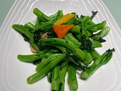 清炒菜苔-湖锦酒楼·31年地道湖北菜(黄鹤楼店)