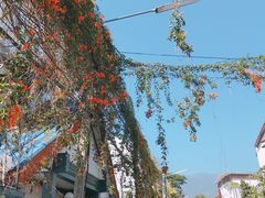 -宁曼路
