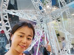 -墨尔本之星 观景摩天轮