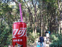 -火炉山森林公园
