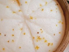 -丽华园(青少年宫店)