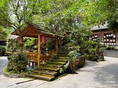 -青城甲(青城山店)