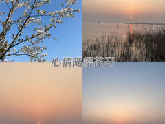 -苏州湾体育公园