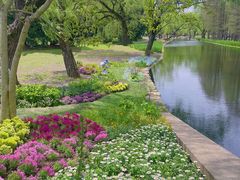 -上海共青森林公园