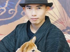 -豆柴町-柴犬主题狗咖(红鼎国际C座店)