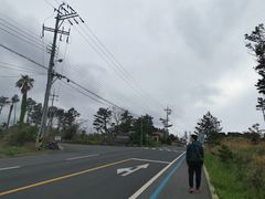 -涯月海岸公路