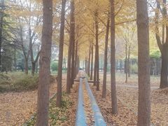 -华祥苑茶馆•国缤茶小蓝罐(普罗旺斯店)