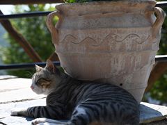 -梅黛奥拉修道院